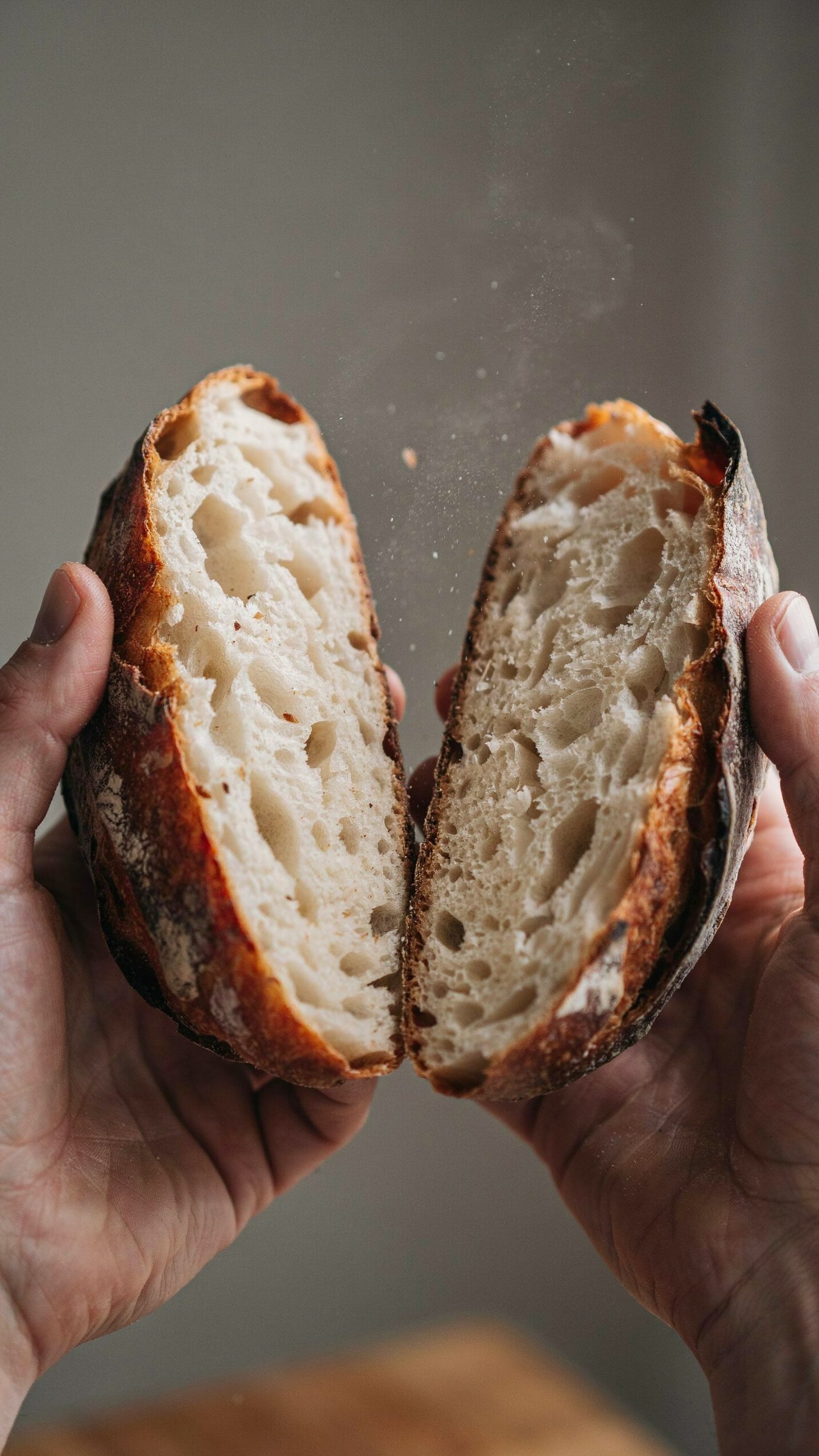 Hogaza de masa madre abierta, con miga alveolada